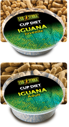Alimento Diet Cup Iguana EXOTERRA