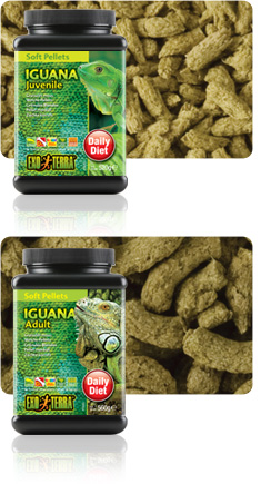 Alimento Iguana EXOTERRA