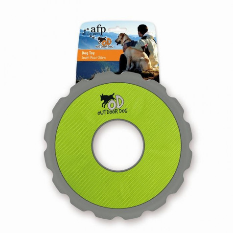 All For Paws Frisbee OutDoor Dog