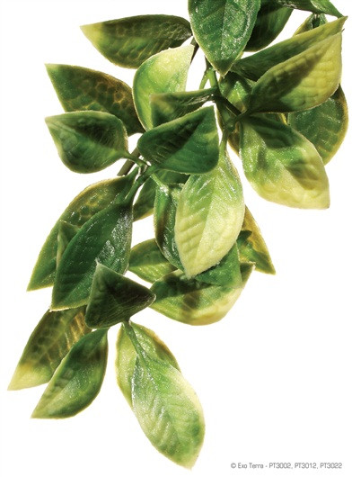 Planta Plástica Mandarin EXOTERRA