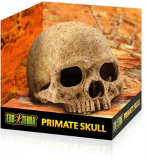 Refugio Primate Skull EXO TERRA